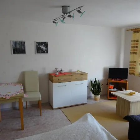 Apartment Erzgebirgsdomizil Am Schwartenberg Neuhausen (Saxony)