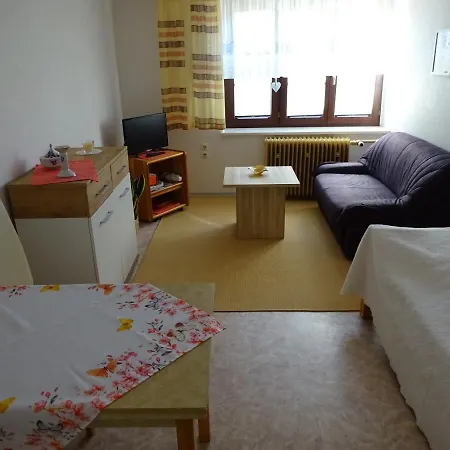 Erzgebirgsdomizil Am Schwartenberg Apartment Neuhausen (Saxony)